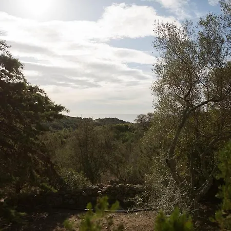 Lavezzi F2 2-4 Pers Rondinara, * Бонифачо