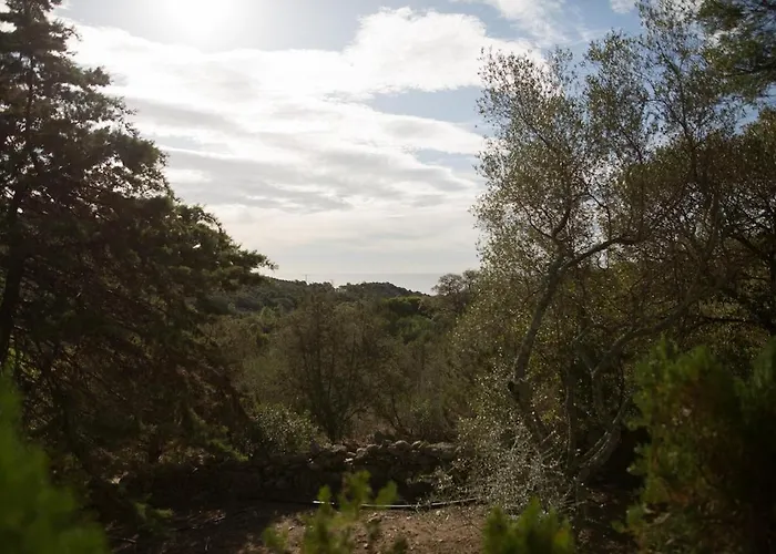 Lavezzi F2 2-4 Pers Rondinara, * Bonifacio (Corsica)